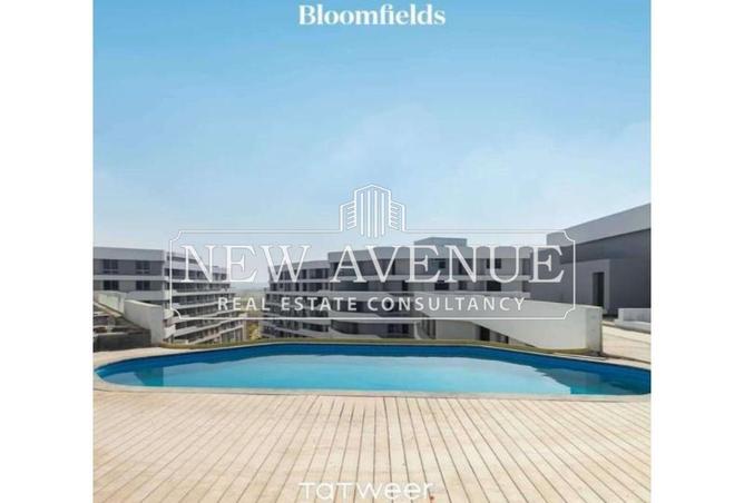 8598659 - Property Image 3