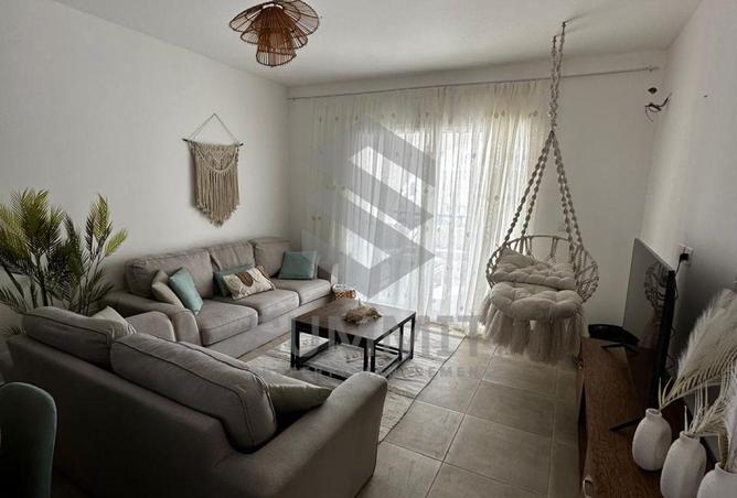 87206215 - Property Image 2