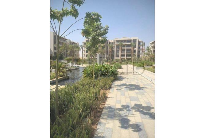 64652189 - Property Image 3