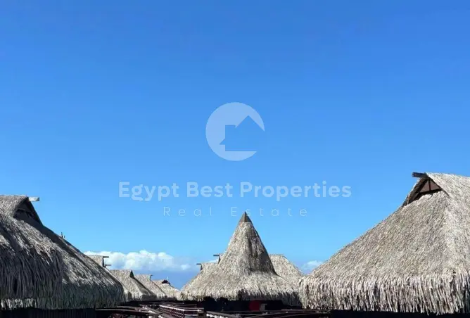 113542576 - صورة العقار 3