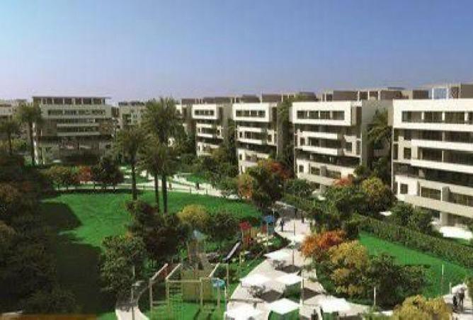 8687435 - صورة العقار 3