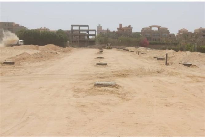 8485098 - Property Image 3