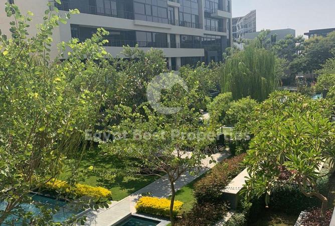 81576554 - صورة العقار 3