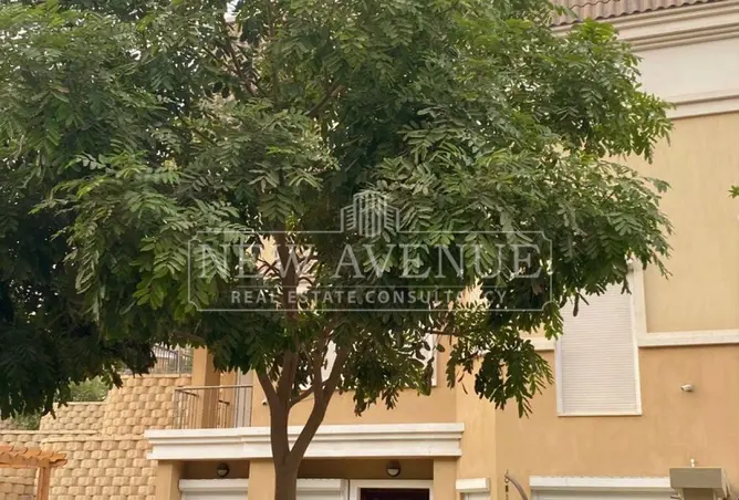 109634249 - Property Image 3