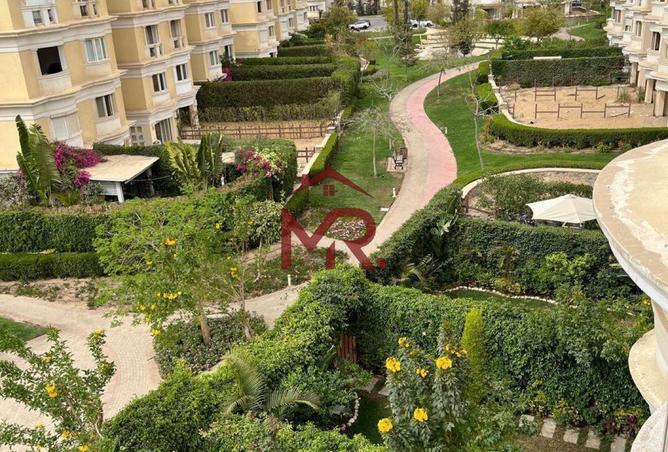 64646384 - Property Image 2