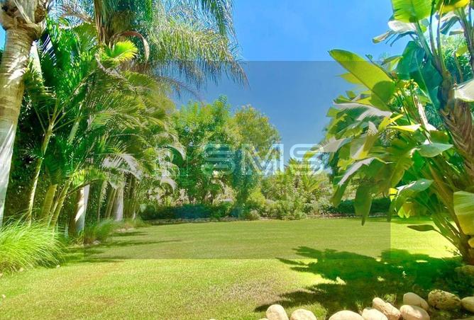 53477501 - الصورة الرئيسية للعقار