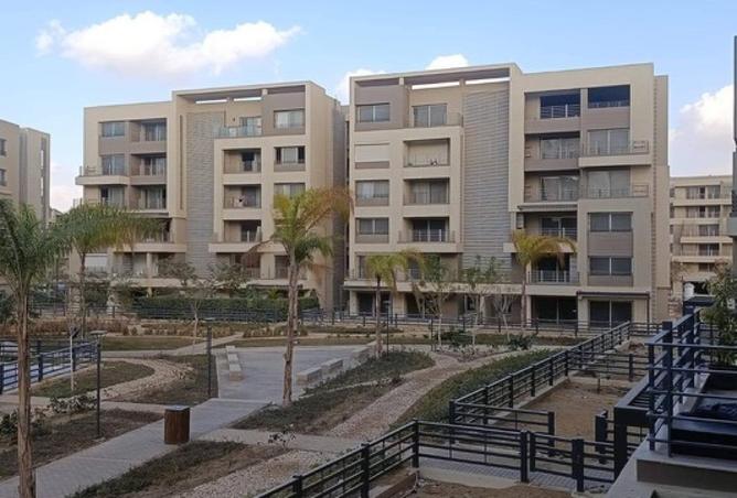 56246796 - Property Image 2