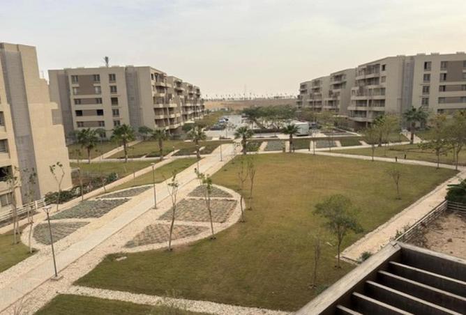 56246796 - Property Image 3