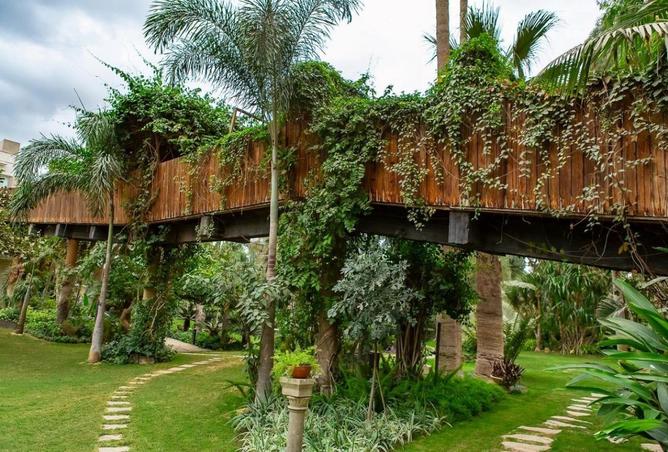 53983539 - صورة العقار 3