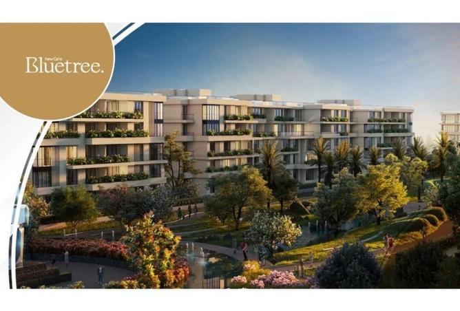 52448359 - Property Image 3