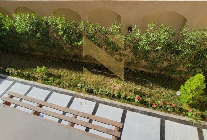 54245828 - صورة العقار 3