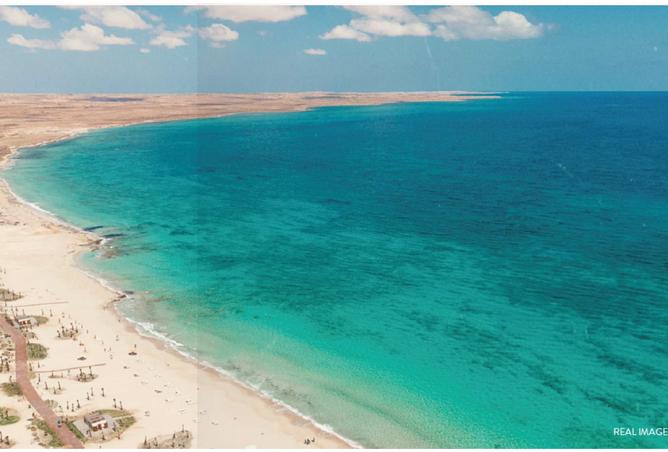 8423971 - صورة العقار 3