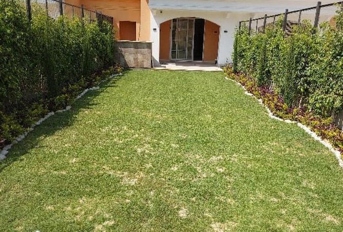 66953494 - Property Image 2