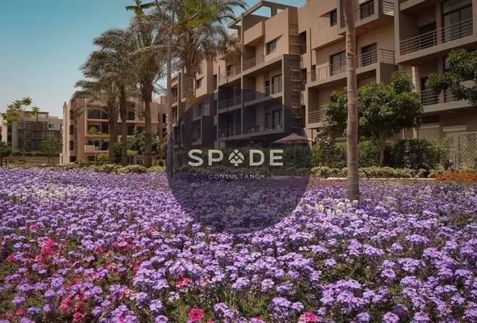 116496894 - صورة العقار 2