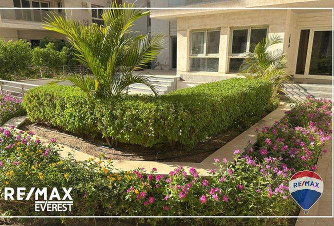 8583838 - Property Image 3