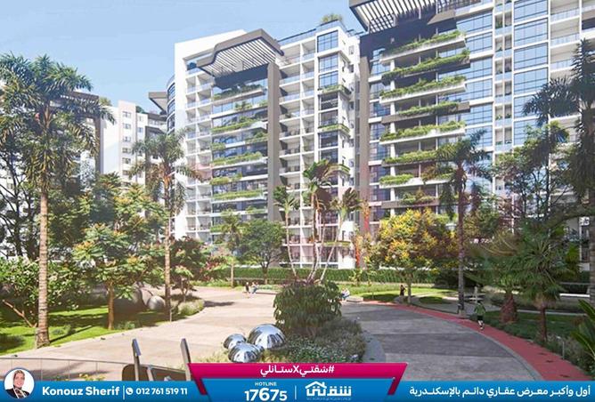 8609357 - صورة العقار 3