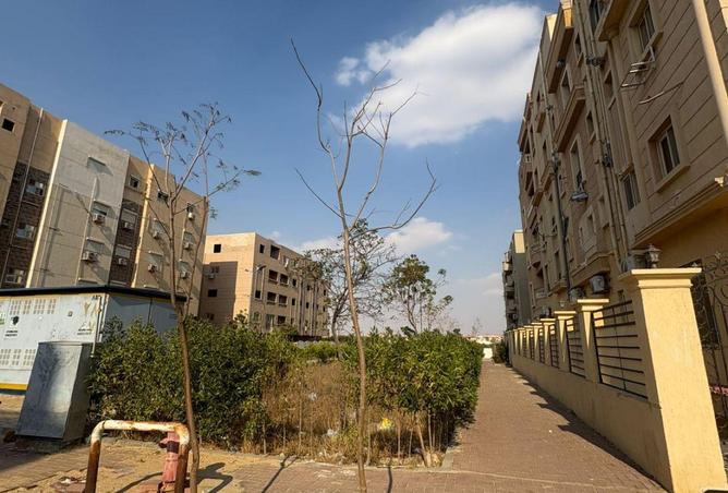 63384233 - صورة العقار 2