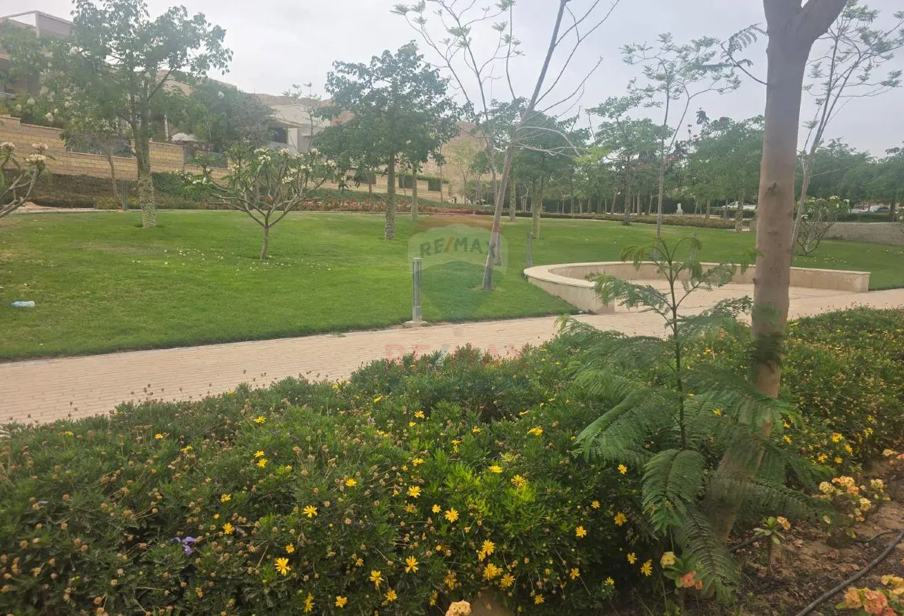 119066166 - Property Main Image