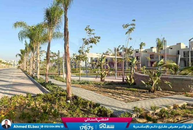 8481399 - Property Image 2