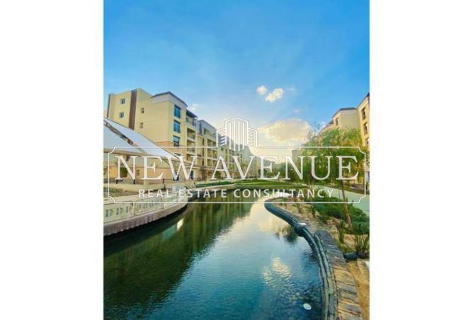 57995990 - Property Image 3