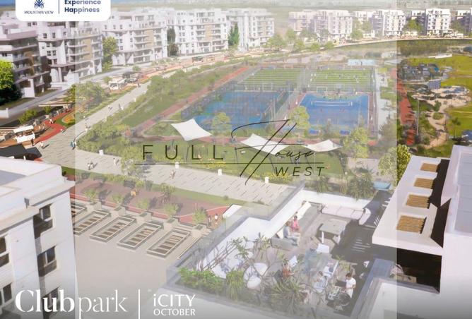 81563226 - Property Image 3