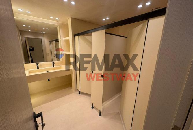 8658627 - Property Image 3