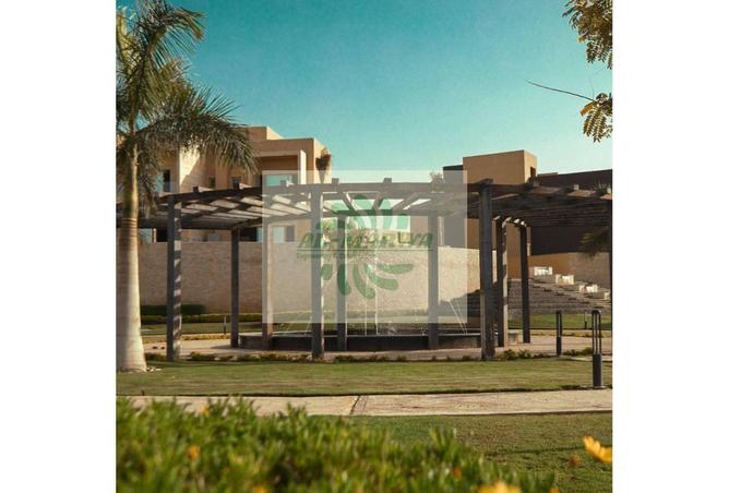 68533290 - Property Image 3