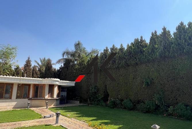 105724679 - صورة العقار 3