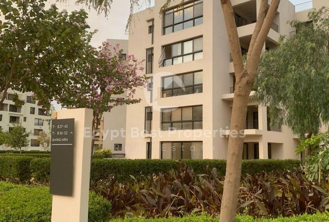 66962963 - صورة العقار 2