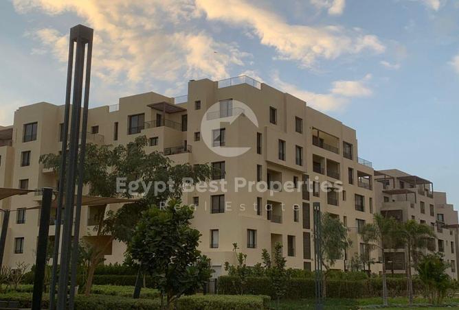 66962963 - صورة العقار 3