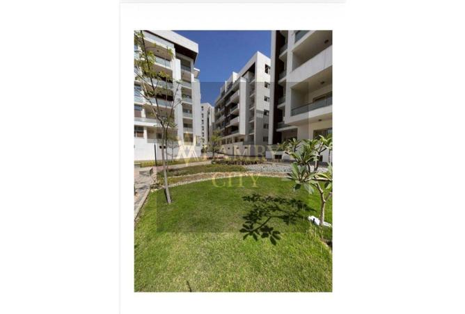 8596286 - Property Image 3