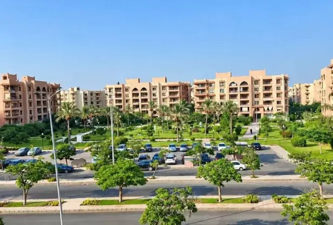 113532126 - صورة العقار 2