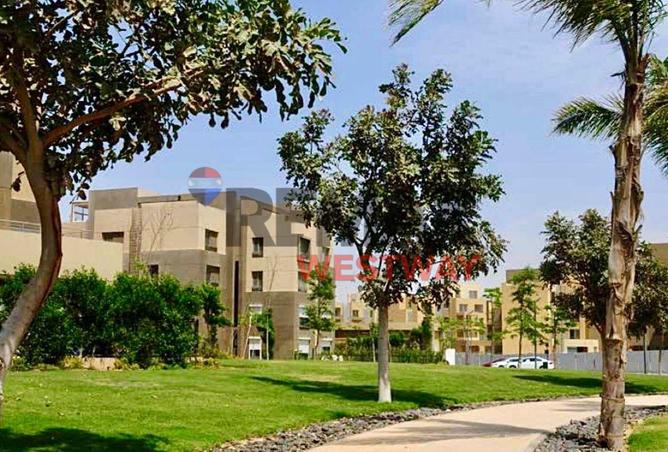 68003319 - صورة العقار 2