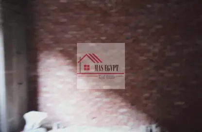 Shop - Studio - 2 Bathrooms for rent in Amman St. - Dokki - Giza