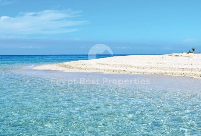 104886606 - Property Image 2