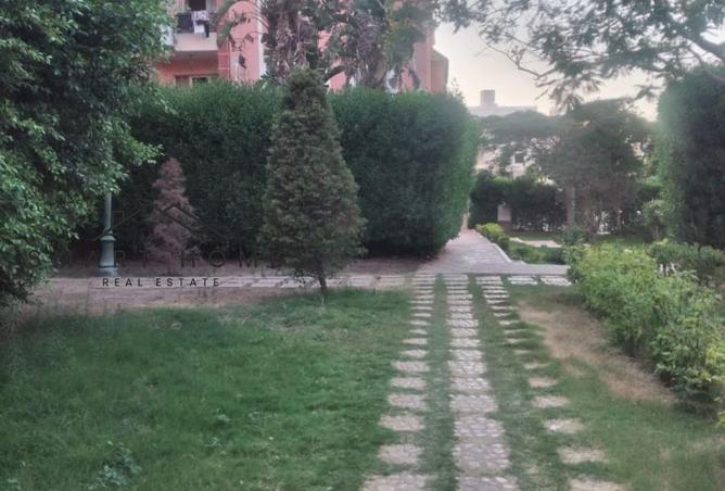 66695482 - Property Image 2