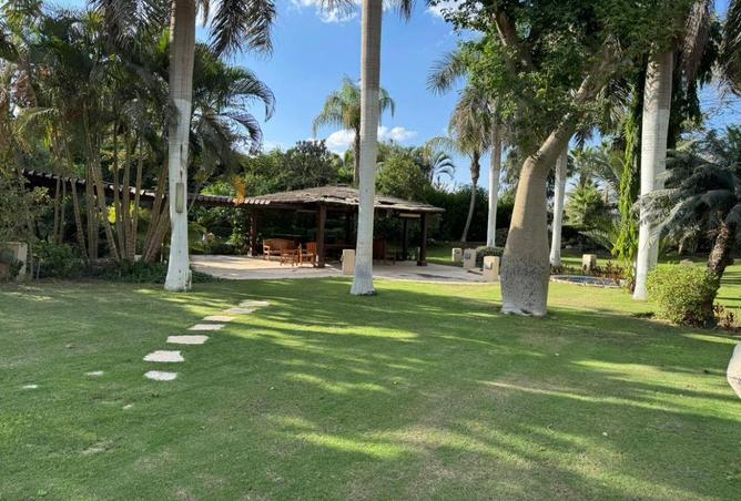 66435708 - صورة العقار 3