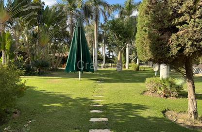 Villa - 6 Bedrooms - 7 Bathrooms for sale in Palm Hills Golf Views - Cairo Alexandria Desert Road - 6 October City - Giza
