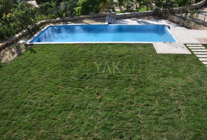 67739858 - صورة العقار 2