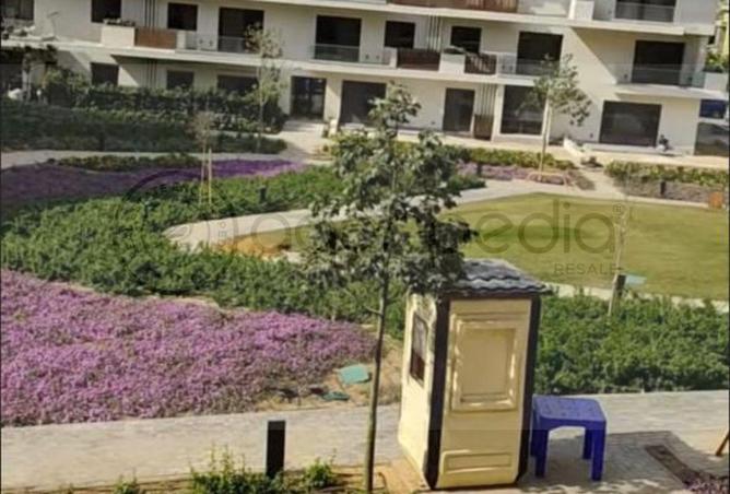74037044 - Property Image 3
