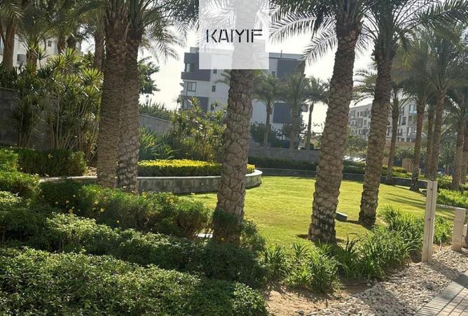 71916886 - صورة العقار 2