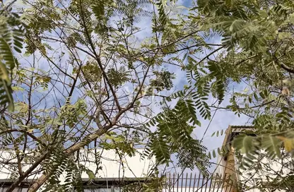 تاون هاوس - 4 غرف نوم - 5 حمامات للبيع في ويستاون - كمبوندات الشيخ زايد - الشيخ زايد - الجيزة