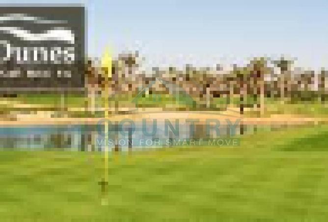 58253022 - Property Image 3