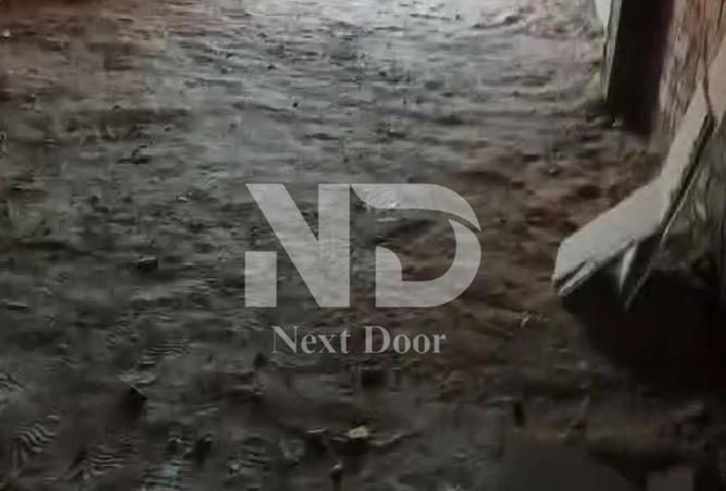 70631650 - Property Image 2