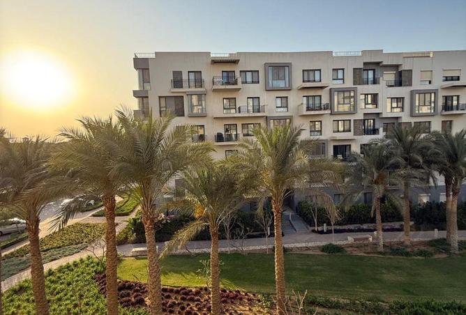 75674979 - صورة العقار 3