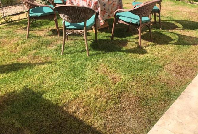 66426469 - الصورة الرئيسية للعقار