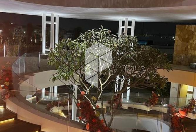 102629807 - صورة العقار 3