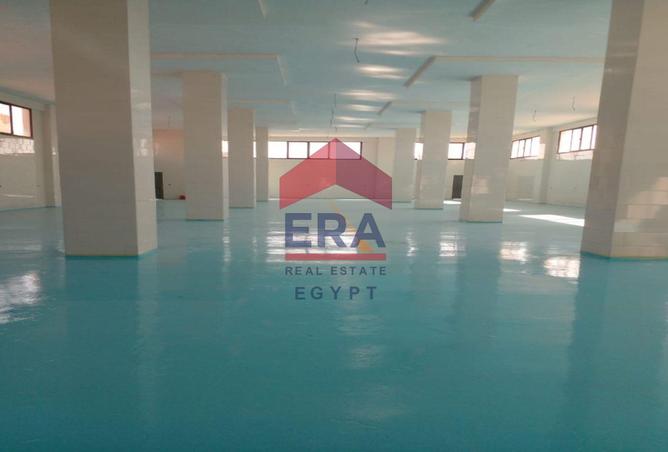 96857058 - صورة العقار 3