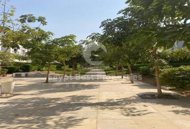 55504092 - Property Image 3