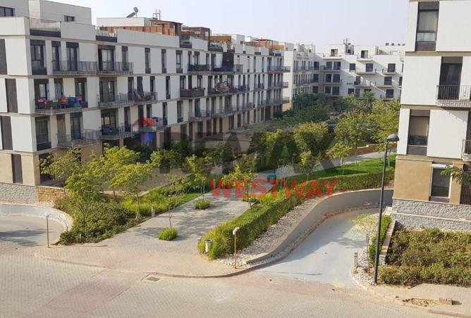 61697378 - Property Image 3